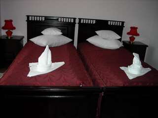 Гостевой дом Pension Elegance Гура-Гуморулуй Стандартный двухместный номер с 2 отдельными кроватями-16